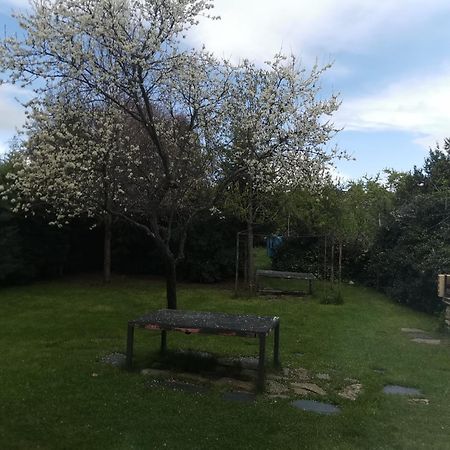 Apartamentos Rurales Alvado Tamajon Екстер'єр фото